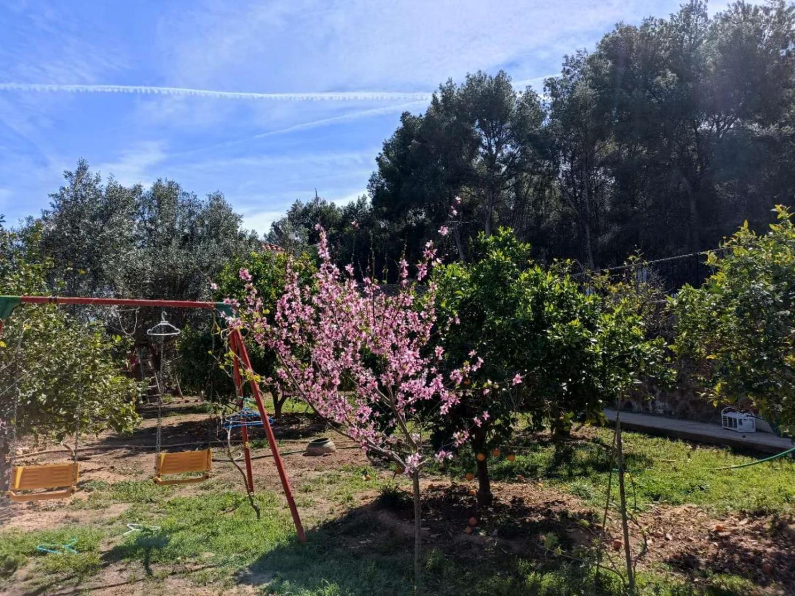 Bedroom With Private Bathroom And Two-Bedroom Family Suite In Quiet Forest Country House 80M2 Large Swimming Pool Music Town Lliria The Garden And Swimmingpool And Garden Are Shared Dış mekan fotoğraf